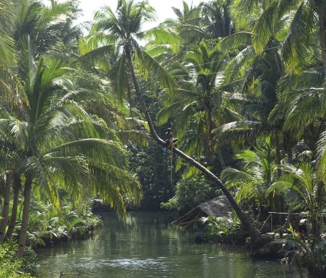 Río en Siargao, Filipinas